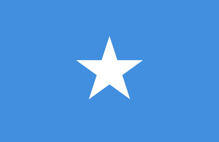 Flag_of_Somalia.svg_.png