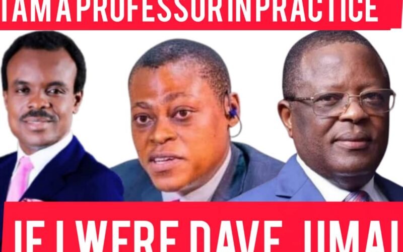 IF I WERE MINISTER DAVE UMAHI: Understanding the Meaning of ‘Professor in Practice’